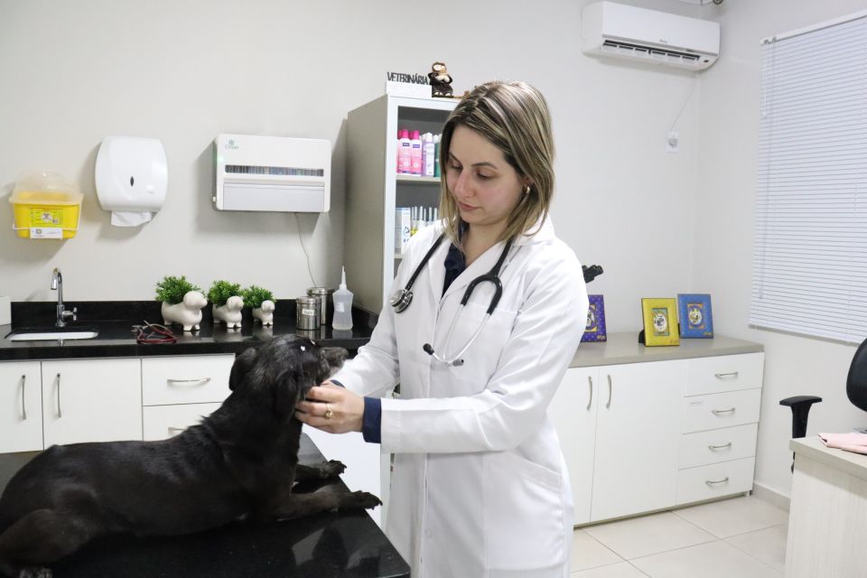 Clínica Veterinária 24h em Chapecó - Atendimento Presencial 24h por dia! -